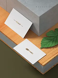 高端企业公司名片智能贴图效果图样机