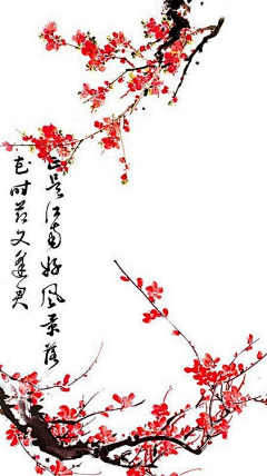 蔷薇花语采集到插画