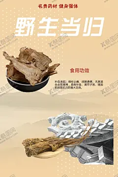野生当归海报 【酷图网】营养品汤料,汤料海报,当归,当归海报,滋补品,养生品,靓汤,养生加油站,美颜汤料,营养品海报,海报设计,参茸,名贵药材,药店广告,药材宣传,药店文化上墙,药材商行
