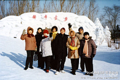 qzsmcyz采集到哈尔滨冰雪节剪影（一