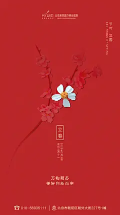 #立春# 万物萌苏 美好向新而生 ​​​​
