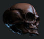 Grey Alien skull