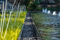 海木木采集到B.软装—示范区—草坪/水面