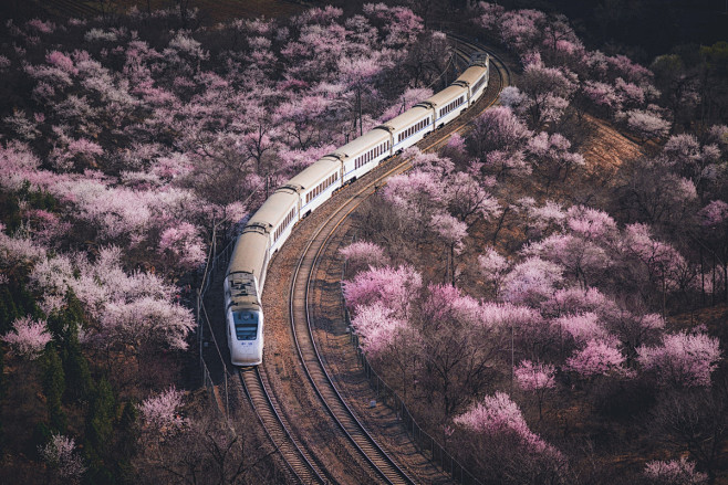 开往春天的列车 - Jambo - 图虫...