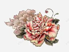 菊花 平面电商 创意素材