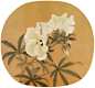 宋代花鸟团扇