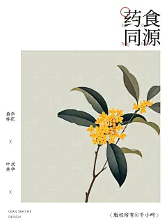 AI插画包装设计丨桂花插画包装设计创意拉满 - 小红书