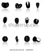 Icons - silhouettes of various kinds of nuts - stock vector