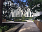 Ponderosa Commons by Hapa Collaborative : Landscape representing a new era of the campus with traditional reverie

