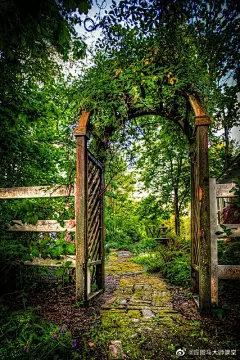 #绘画参考#

绘画素材│门的参考

门既是房屋的里外连接，又可以看成独立的建筑。
（图源网络）
#插画设计#  #绘画学习# ​​​​