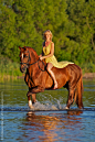 Hanoverian horse and bareback riding | HORSE LOVE