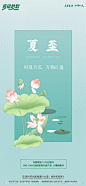 夏至节气海报-源文件-志设网-zs9.com