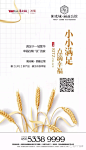 【作品】二十四节气之小满——地产广告