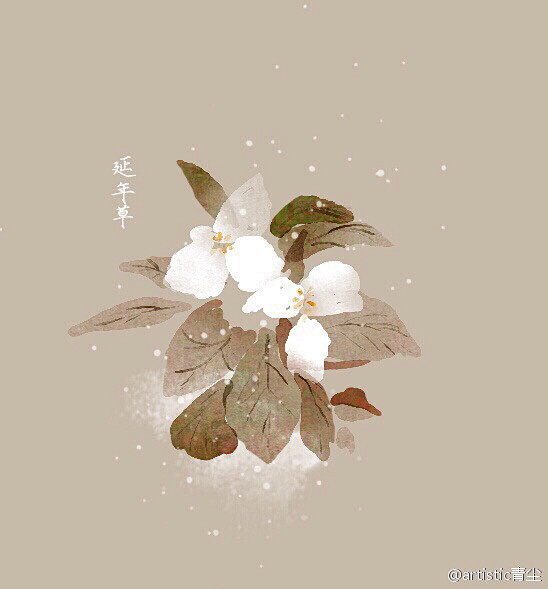 artistic青尘/绘  水彩手绘植物...