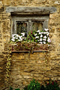 139_english-cottages-cottage-windows