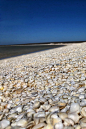 澳洲-贝壳海滩：贝壳海滩（Shell Beach）坐落于西澳大利亚的鲨鱼湾，距离丹汉姆（Denham）45公里，顾名思义应该是沙滩上遍布贝壳，它是世界上两大完全由贝壳形成的海滩之一。