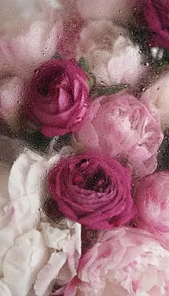 水雾花花 壁纸分享 - 小红书