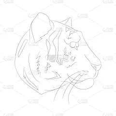 肖像,条纹,虎,野生动物,直的,哺乳纲,自然美,涂料,动物