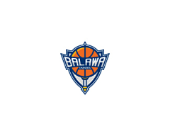 冥冥-之中采集到篮球logo