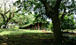 新加坡植物园 http://bbs.yilvcheng.com/gonglue/3205.html