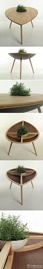 绿植桌“Spire”—— Philipp von Hase，挪威设计师，他从葵花籽、鳄梨或核桃壳中得到灵感，设计了这款简约的绿植桌“Spire”。这张桌子有如打开葵花籽的外壳，—掀开桌面，里面暗藏一个手工陶瓷大碗，可种植各种自己喜欢的绿色植物，盖上桌面，只露出绿叶，不失为点缀家居空间的好创意。