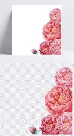 粉色花朵插画|手绘,大红花,装饰,花卉,植物,装饰元素