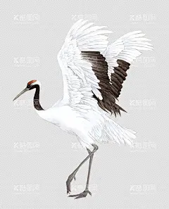 仙鹤  - 源文件下载【酷图网】仙鹤,中国风,中国风插画,插画,包装盒插画,国潮,国潮包装插画,国潮插画,手绘仙鹤,新中式仙鹤,仙鹤装饰画,茶叶包装素材,装饰画,鹤,国画,水墨,工笔仙鹤,仙鹤仙气,