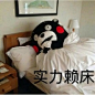 熊本熊｜まモン｜Kumamon_weiraness不想玩了图片专辑-堆糖