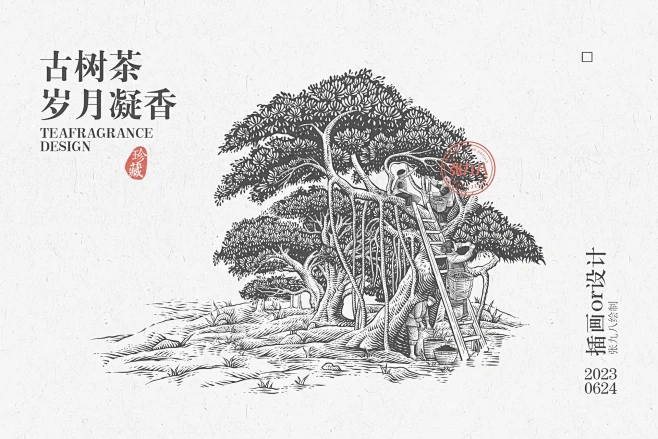 手绘铜版画｜古树茶｜茶叶包装插画-花瓣网