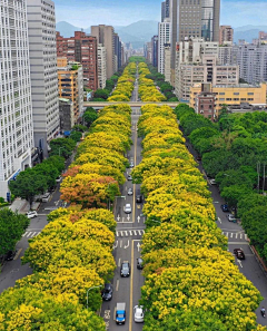 藍人采集到市政道路景观