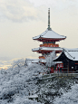 yuikki:

雪の三重塔 - 清水寺 ／ Three Storeyed Pagoda - Kiyomizu-dera Temple by Active-U on Flickr.
