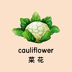 风中没有爱采集到语文