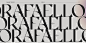 typography   font Typeface MyFonts serif Display type glyphs type design fonts