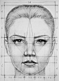 面部比例和测量面部特征绘制成人