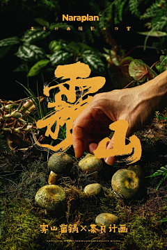 施小果采集到一系列