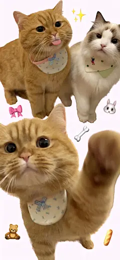 f90d1e088225b2eada71f72f6ffdfe1