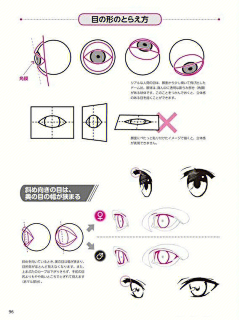 涡来守狐采集到眼