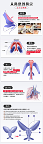 【520追爱季】【硅胶隆鼻】威宁硅胶假体隆鼻*单纯鼻梁垫高+送3D四维模拟术后成像*原装材料可验证*鼻内切口-新氧美容整形