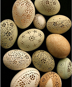 阿拉唯采集到各种各样的蛋