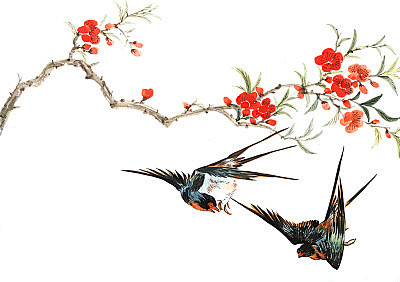 国画--燕子、梅花