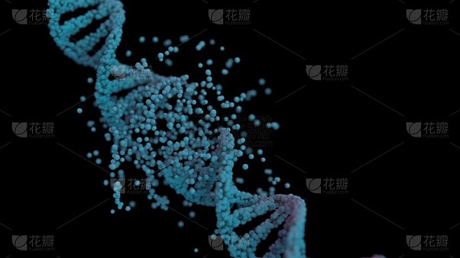 DNA损伤破坏动画分子螺旋生物学