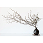 Vase and Branch by PRB Images | Temple & Webster