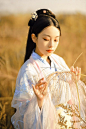 Line · 画仙