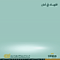 Arab African international Bank Vol. 2 | Social Media : Social Media visuals for Content plan of Months July-June-August/2020 For the Arab African International Bank Focused on the new Services “Payroll Salary in Advance" Program which offered by the