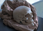 Skull, Jana Schirmer : Skull study done from life in Photoshop :)