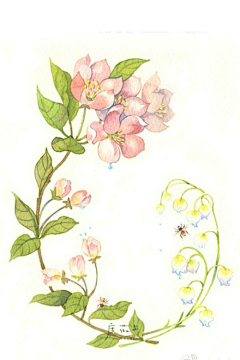 无尘月采集到花湖