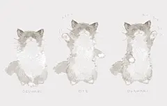 一组猫咪插画 | 日本插画师 ねこ助|插画师|插画|猫咪_新浪网