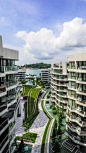 新加坡吉宝湾丽珊景住宅 Corals at Keppel Bay / ICN Design :   ICN Design:  对于位于新加坡吉宝湾的Daniel Libeskind设计的豪华住宅来说，ICN的景观与周围的水和海岸线产生了共鸣。从落基湾潮汐中汲取灵感，花园散发出长长的感官曲线，形成一个广阔的水景。就像一座从游泳池中心升起的岛屿，社交俱乐部披上...