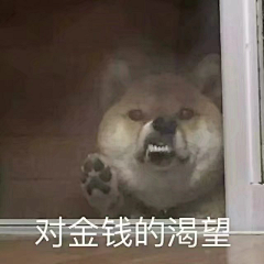 野稚he采集到哈哈哈