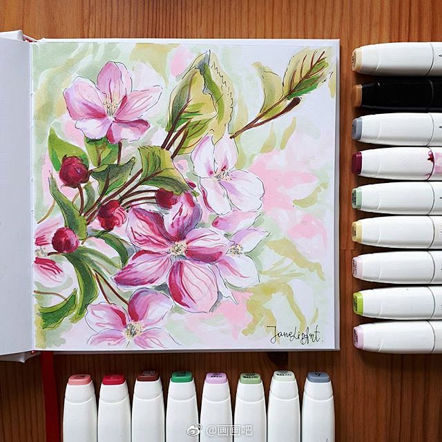 马克笔植物插画作者janelipart6767676767